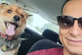 Fundraiser by Benjamin Bair : Buddy's Urgent Surgery Fund