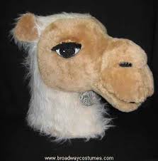 There are two types of camels: Pin On Animal Costumes To Rent