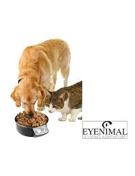 Eyenimal Edelstahlnapf Fressnapf Mit Waage Fur Hunde Katzen Hundefreuden Hund Und Katze Hunde Futter Tierfutter
