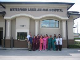 We did not find results for: Waterford Lakes Animal Hospital Is Located In Orlando Dr Hutchison Has Been The Trusted Vet For One Of Our Volunteers Lake Animals Animal Hospital Hospital
