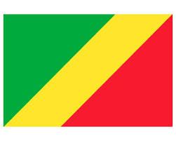The colors on a flag represent different things depending on what country the flag belongs too. Flag Of The Republic Of The Congo Congo Brazzaville