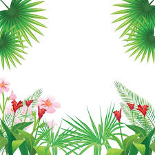 Download these tropical plants background or photos and you can use them for many purposes, such as banner, wallpaper, poster background as well as powerpoint background and website background. Flores Tropicais S Tropical Tropical S Imagem Png E Vetor Para Download Gratuito Flower Frame Png Flower Frame Tropical Frames