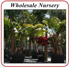 Search 1,605 of the top port charlotte health care. Becks Nursery Garden Center Daytona Beach Fl