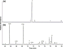 Image result for Panicum kalaharense