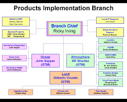 About The Satellite Products And Services Division