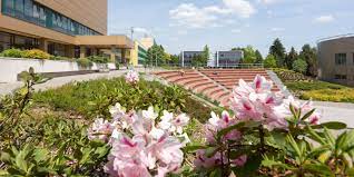 Currently around 1700 students in 27 degree programmes. Vsb Technical University Of Ostrava Linkedin