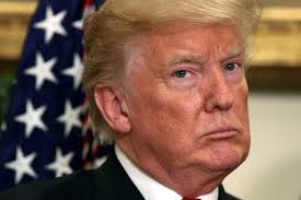 Роман имашев and royal drive — jimmy, jimmy, jimmy, aaja (cover royal drive). Trump The New Jimmy Carter Barron S