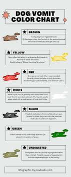 Call your vet as soon as possible if your dog is either elderly or a puppy, or if he suffers from a medical condition. Dog Vomiting Color Guide Everything You Need To Know Pawleaks