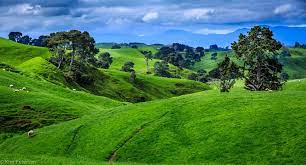 The world's largest digital library. The Perfekt Landscape For A Hobbit New Zealand In 2021 Landscape Photography Trees Landscape Photography Sunset Landscape Photography