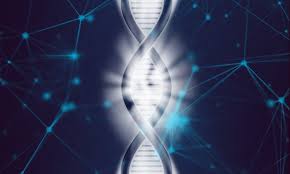 Check spelling or type a new query. Russian Scientists Discover A New Function Of The Nucleus Lamina Proteins