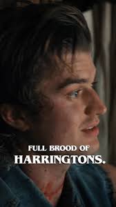 Steve's Dream: The Harrington Family Adventure