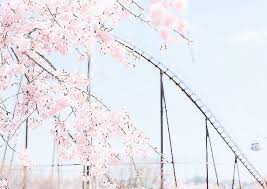 Kawaii pastel japanese aesthetic wallpaper desktop. Cute Cartoon Characters Funny Aesthetic Profile Pictures Japanese Aesthetic Wallpaper Kawaii
