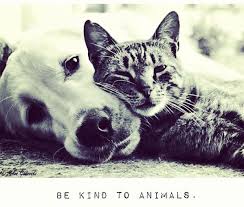 Holding the highest regard for your best friend. Peace Love Pets Hhi Home Facebook