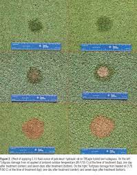 Oil Spills On Turf Facts And Myths Gcmonline Com