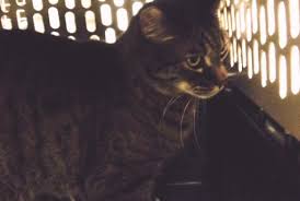 And in and out of canada. Canada Petrelocation