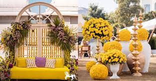 Image result for Sunglow Yellow 2017 City Express