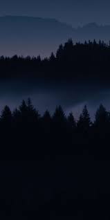 Dark Forest Hd Iphone Wallpaper Iphonewallpaper Iphone Wallpaper Android Androidwa Forest Wallpaper Iphone Dark Wallpaper Iphone Iphone Backgrounds Nature