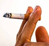 El tabaco de liar supera los niveles de nicotina, alquitrán y ...