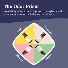 Image result for Olfactory Training