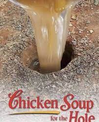 Chicken soup for the hole