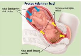 Proses Kelahiran Bayi Ipa Otot Sifat Zat