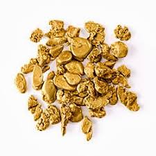 Chicken, ak, , united states. Gold Prospecting And Gold Mining Equipment Gold Prospecting Mining Equipment Detectors Snake Protection