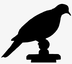 Pencarian gratis, tidak terbatas, dan mudah. Dove Bird Silhouette Gambar Siluet Burung Perkutut 1280x1032 Png Download Pngkit