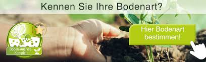 Gärten pflegeleicht gestalten aus der garten branche garteninfos. Lehmboden Alles Wissenswerte Hier Lesen
