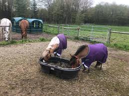It was very low cost and did work for a bit. Diy Hay Feeder For Horses