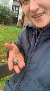 Found this cute little ladybug today just off park road in rugby, stay  blessed 💜