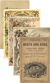 Jul 19, 2011 · these pretty printables are fabulous and free…you can't go wrong with that! 10 Sets Of Free Vintage Printables For Your Junk Journals Creative Artnsoul Journaling