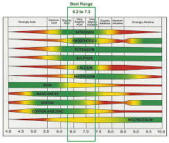 lawn soil ph testing and treatments uncategorized