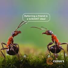 Top pest control services in charlotte, nc. Clegg S Pest Control Home Facebook
