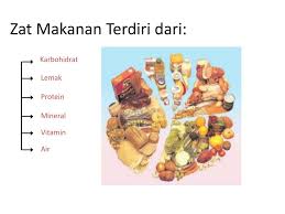 Vitamin b6 bisa terdapat terdapat pada telur. Ppt Makanan Fungsinya Oleh Ida Rianawaty Powerpoint Presentation Id 5967157