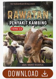 6erdasarkan jenisnya kandang kambing terdiri dari kandang koloni, kandang indi1idual dan kandang untuk induk beranak dan menyusui (mulyono, 200. Kandang Kambing Atas Tanah Untuk Ternakan Kambing