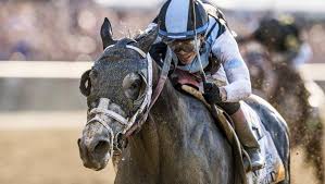 Profiling The Belmont Stakes Winner In Non Triple Crown Year