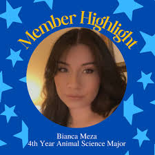 Our first member highlight of winter quarter is… Bianca Meza! ⭐️💙🐄 Bianca  is a 4th year Animal Science major from Imperial, CA. Her favorite Aggie  Ambassador memory is when Co did a