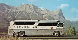 Pin By Agris Balodis On From Dusk Till Dawn Greyhound Bus Bus Buses For Sale