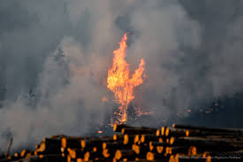 Fire activity is expected to reduce over the course of the night, according to bc wildfire. Update Fast Moving Ok Falls Wildfire Moving Away From Homes Penticton Western News