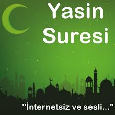 Yasin suresi mealini her ayet başındaki play tuşuna basarak dinleyebilirsiniz. Yasin Suresi Sesli Dinle Google Play ì•±