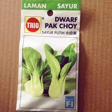 Sawi putih merupakan salah satu daripada beberapa jenis sawi yang ditanam di malaysia seperti sawi pahit, sawi hijau, sawi kerinting, sawi jepun dan beberapa jenis lagi. Biji Benih Sayuran Pak Choy Sawi Putih Shopee Malaysia