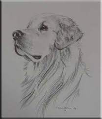 Pin On Pencil Art