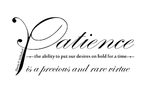Patience Patience Is A Virtue Patience Word Pretty Quotes Beautiful Quotes