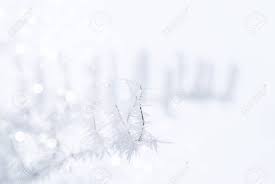 Check spelling or type a new query. Winter Background Frosty Snowy White Background With Bokeh And Sparke Stock Photo Picture And Royalty Free Image Image 49212838
