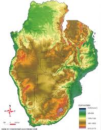 Image result for Triaspis dumeticola