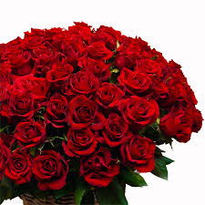 Laden sie dieses kostenlose foto zu strauß roter rosen zum valentinstag und entdecken sie mehr als 8m professionelle stockfotos auf freepik Rosen Rosenstrauss Rote Rosen Blumenlieferung In Kiel Und Umgebung
