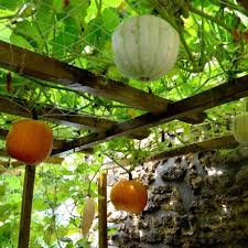 L Incroyable Jardungle Comestible D Adrien Oui Le Magazine De La Ruche Qui Dit Oui Jardin Comestible Jardin Francais Grand Jardin
