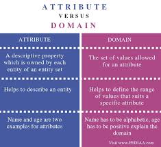 What Is The Difference Between Attribute And Domain Pediaa Com