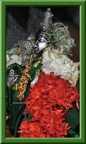 Pin By Viji Chidam On Ranga Ranga Christmas Wreaths Holiday Decor Holiday