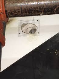 Green flash pest control is a locally owned, family based pest control in san diego, ca that has over 25 years of combined industry experience. Rodent Control Minnesota Pest Management Association